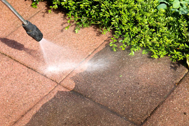 Best Pressure Washing Near Me  in Hale Center, TX